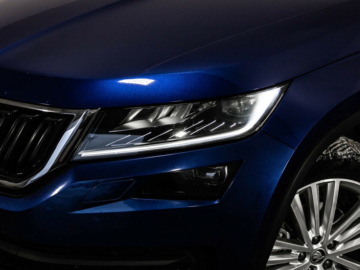 Skoda Kodiaq I, 2019 - фото №2